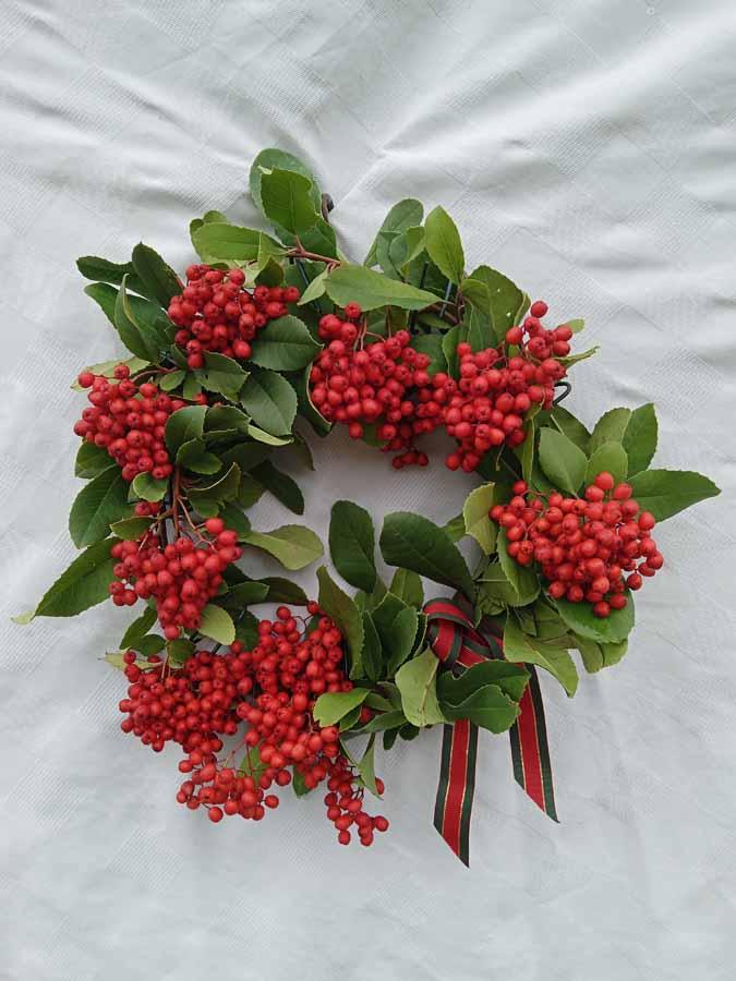 Making Holiday Wreaths with Native Plants